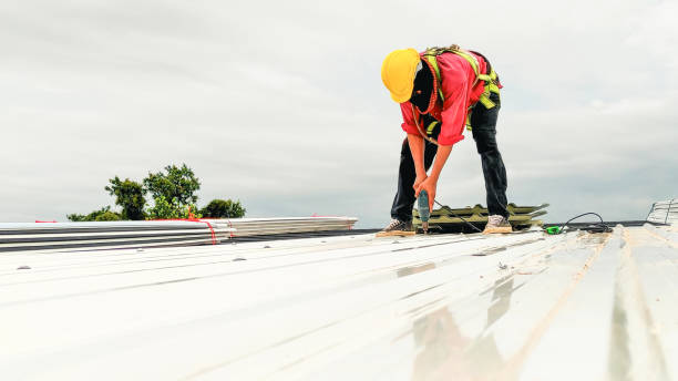 Best Roof Coating and Sealing  in Folsom, CA
